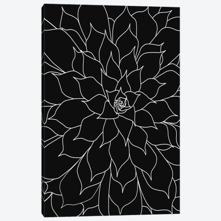 Black White LinedSucculents III Canvas Print #URE290} by Urban Epiphany Canvas Art