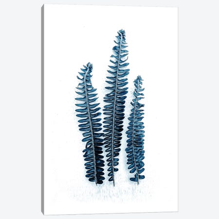 Fern Fronds Baltic Sea  Canvas Print #URE68} by Urban Epiphany Canvas Art