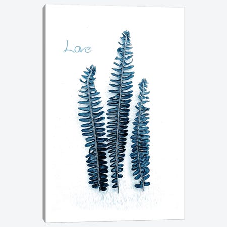 Fern Fronds Baltic Sea, Love Canvas Print #URE69} by Urban Epiphany Canvas Art