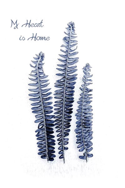 Black & White & Blue: Fern Fronds Navy, Home  by Urban Epiphany