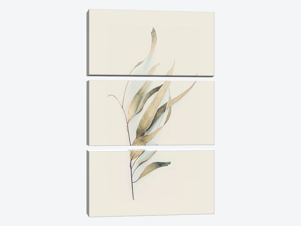 Gum Leaves by Urban Epiphany 3-piece Canvas Wall Art