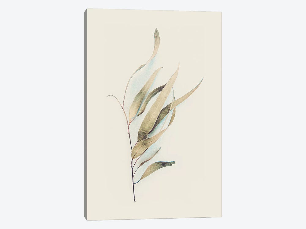 Gum Leaves by Urban Epiphany 1-piece Canvas Artwork