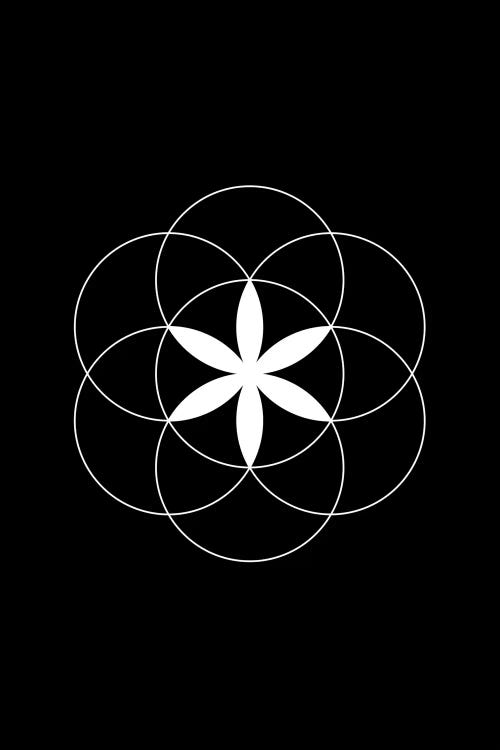 Ideal Flower by The Usual Designers wall art