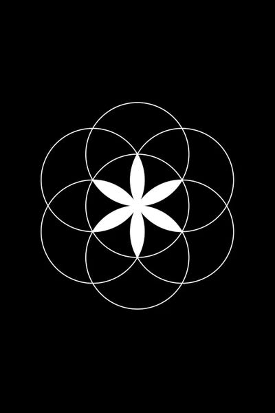 Black & White Patterns: Ideal Flower by The Usual Designers