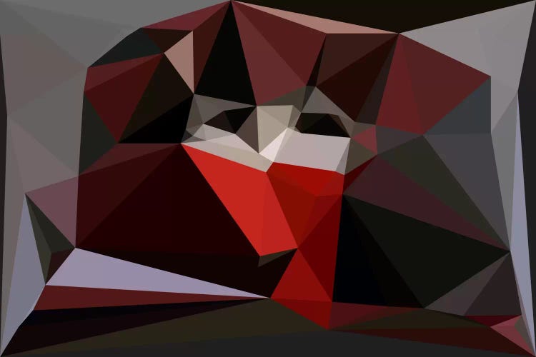 The Mask by The Usual Designers canvas print