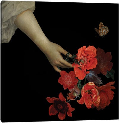 Jan Davidsz De Heem Hand With Poppy Flowers I Canvas Art Print - Nature Renewal