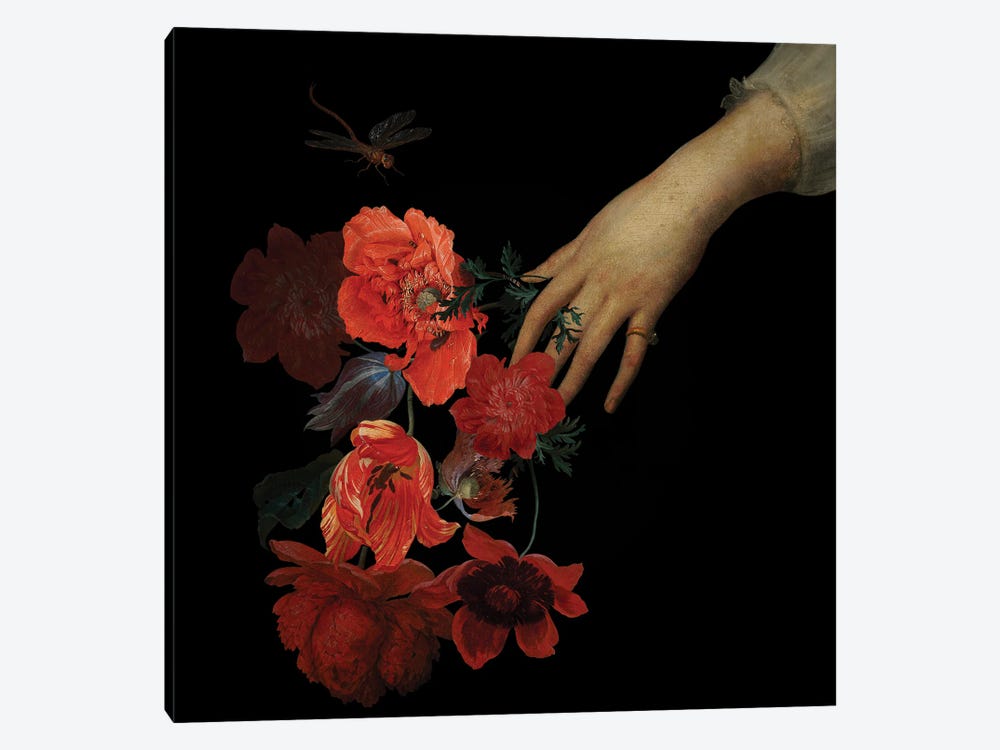 Jan Davidsz De Heem Hand With Poppy Flowers II by UtArt 1-piece Canvas Wall Art