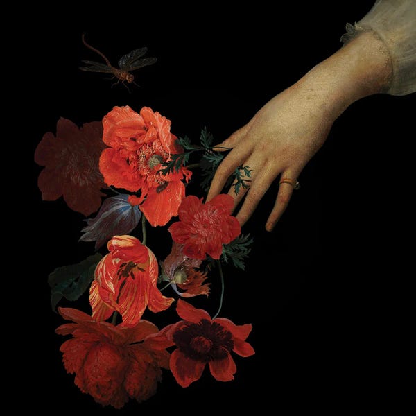 UtArt: Jan Davidsz De Heem Hand With Poppy Flowers II by UtArt