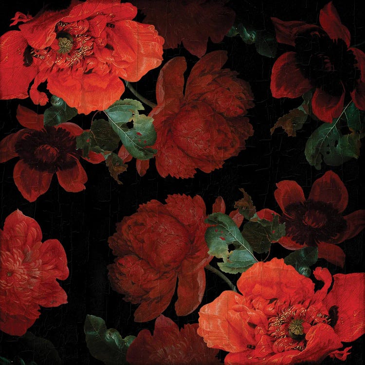 Jan Davidsz De Heem Vintage Poppies by UtArt wall art