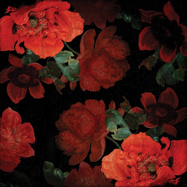 UtArt: Jan Davidsz De Heem Vintage Poppies by UtArt