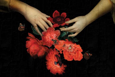 Jan Davindsz De Heem Hands Holding Bouquet Of Poppies by UtArt framed canvas print