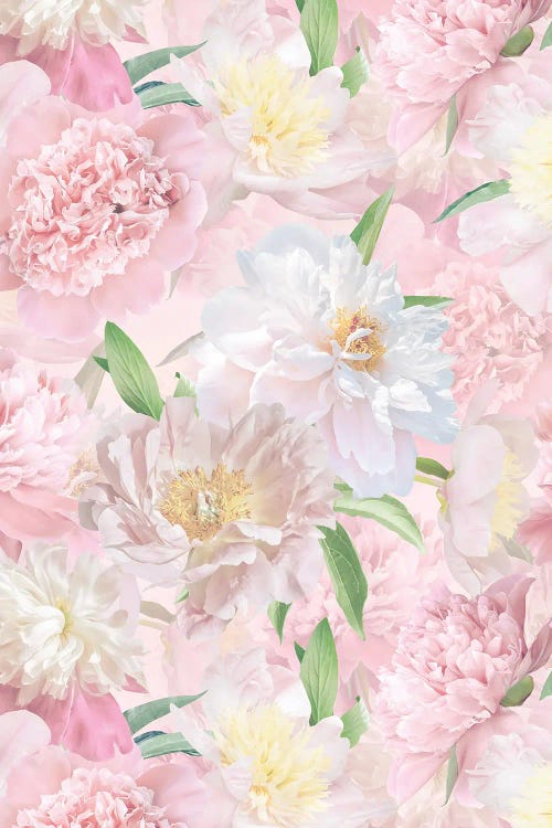 Lush Beautiful Real Pink Peonies Pattern