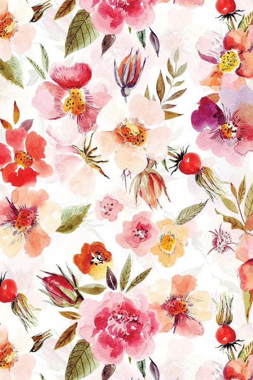 Midsummer Roses