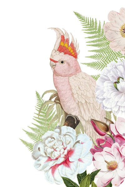 UtArt: Parrot In Flower Jungle by UtArt