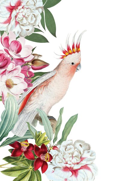 Parrots: Parrot In Flower Jungle II by UtArt