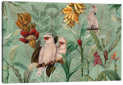 Parrots And Bananas Canvas Art Print - Leaf Art