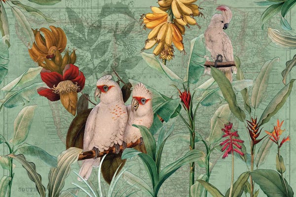 Parrots: Parrots And Bananas by UtArt