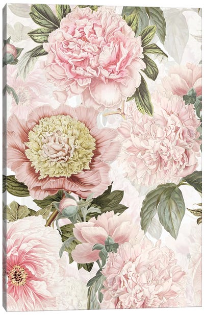 Pastel Pink Vintage Peonies Watercolor Flowers Canvas Art Print - Granny Chic