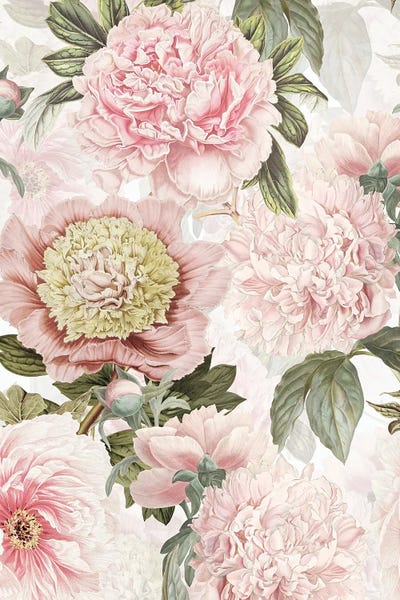 Granny Chic: Pastel Pink Vintage Peonies Watercolor Flowers by UtArt