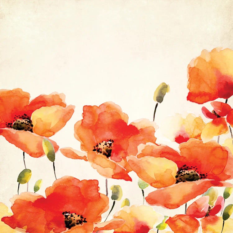 Poppy Meadow by UtArt wall art