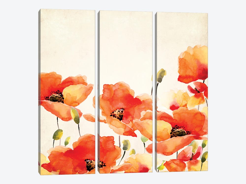 Poppy Meadow by UtArt 3-piece Canvas Wall Art