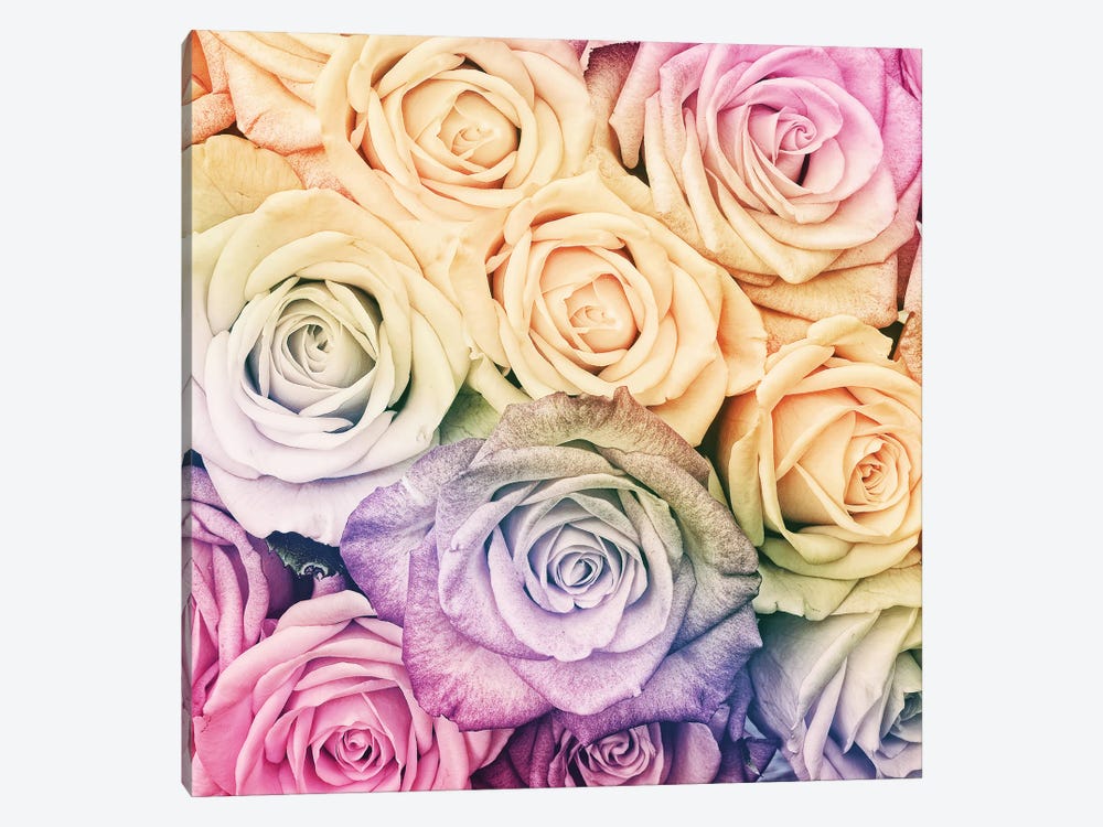 Rainbow Real Roses by UtArt 1-piece Canvas Wall Art