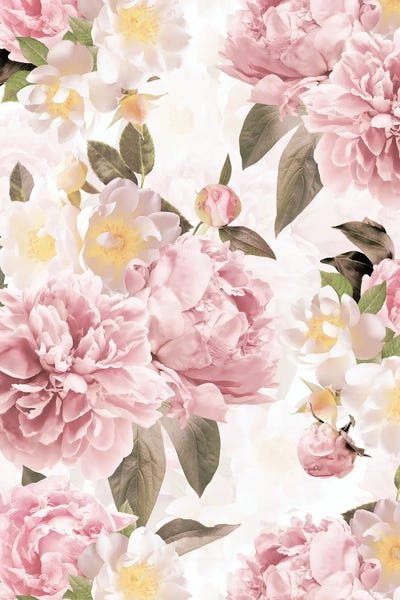 UtArt: Real Blush Peonies by UtArt