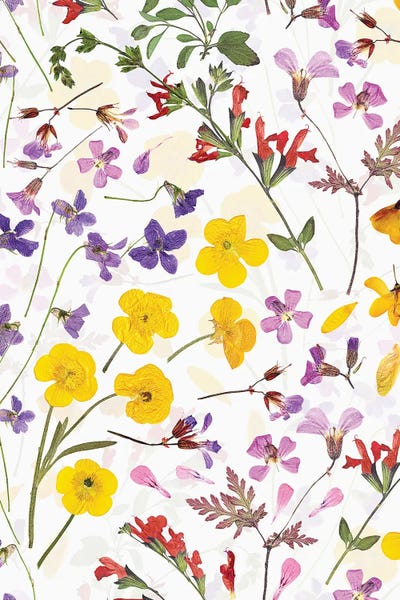 UtArt: Real Dried Scandi Midsummer Flowers by UtArt