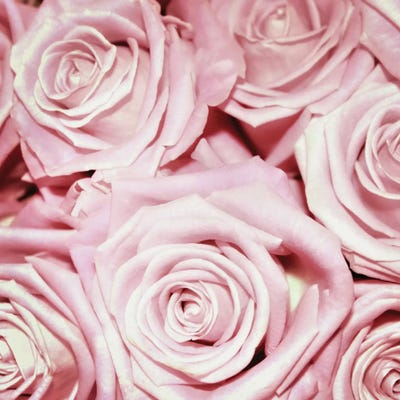 Roses Bouquet by UtArt framed canvas print