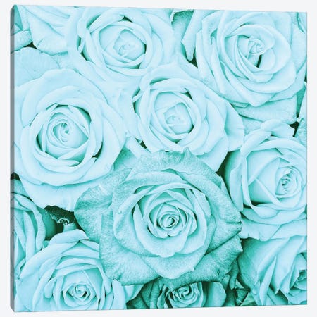 Turquoise Real Roses Canvas Print #UTA221} by UtArt Canvas Artwork