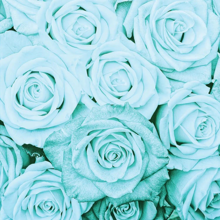 Turquoise Real Roses by UtArt wall art