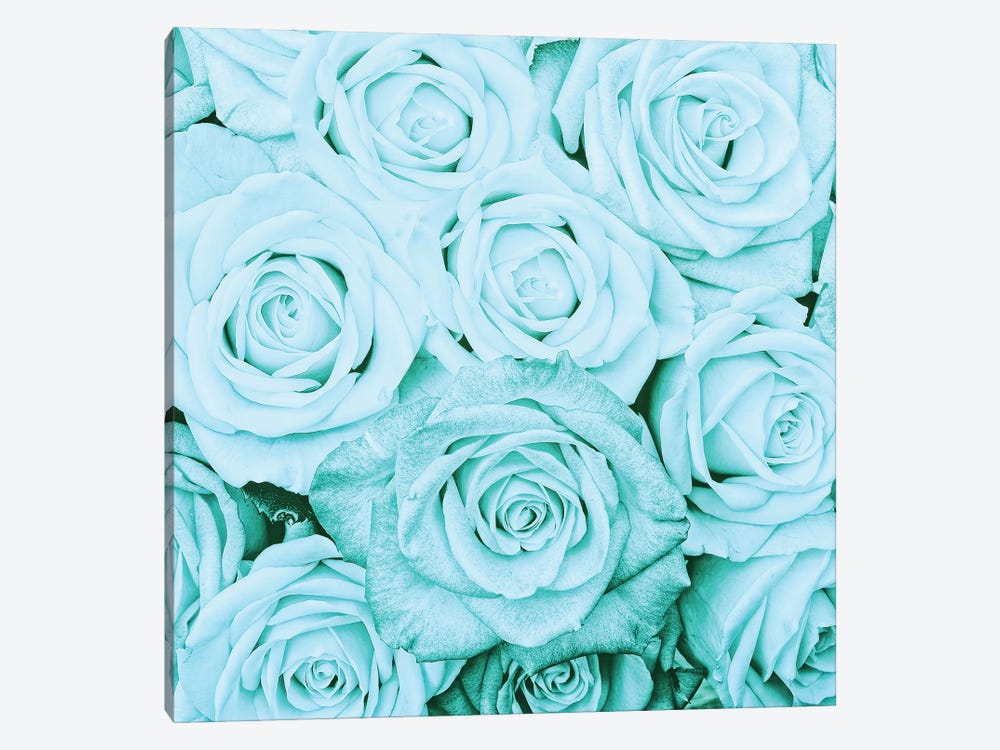 Turquoise Real Roses by UtArt 1-piece Canvas Art Print