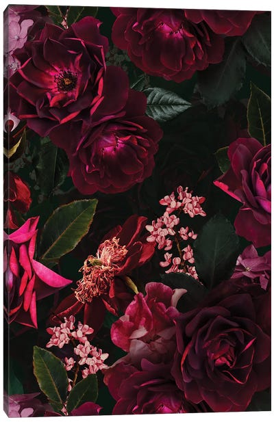 Vintage Midnight Summer Botanical Roses Garden Canvas Art Print - Goth Art