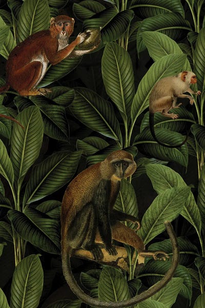 Monkeys: Vintage Monkey Jungle by UtArt