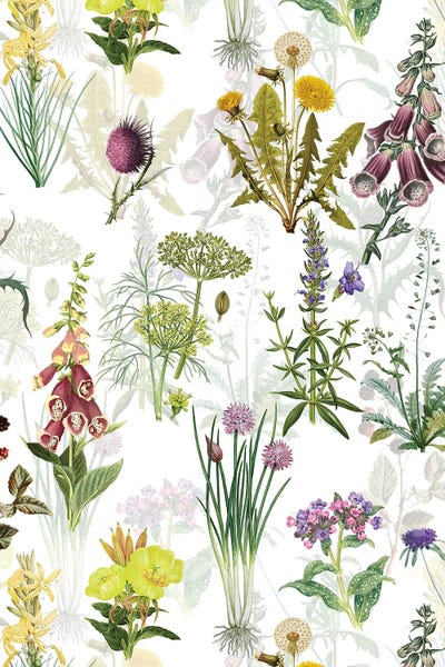 UtArt: Vintage Pharmacy Flowers Meadow by UtArt