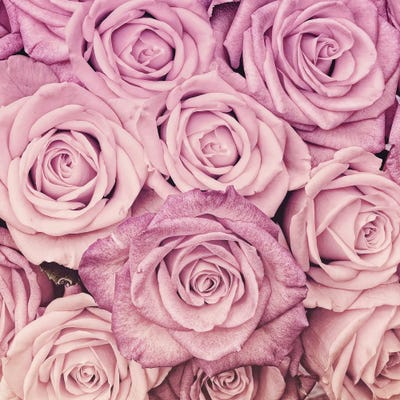 Vintage Sepia Real Roses by UtArt framed canvas print