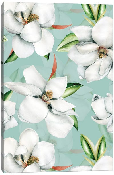 White Magnolia Blossoms Canvas Art Print - Magnolia Art