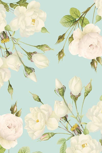 UtArt: White Redouté Roses by UtArt