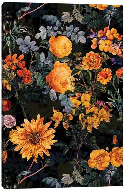 Yellow Sunflowers And Night Roses Canvas Art Print - UtArt