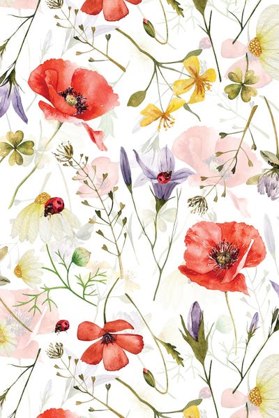 Poppies: Scandinavian Midsummer Herbs And Wildflowers Meadow by UtArt