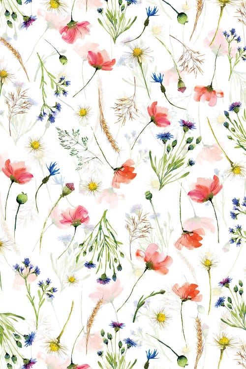 Scandinavian Midsummer Poppies And Cornflowers Meadow