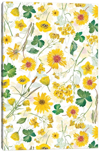 Scandinavian Midsummer Yellow Wildflowers Meadow Canvas Art Print - UtArt