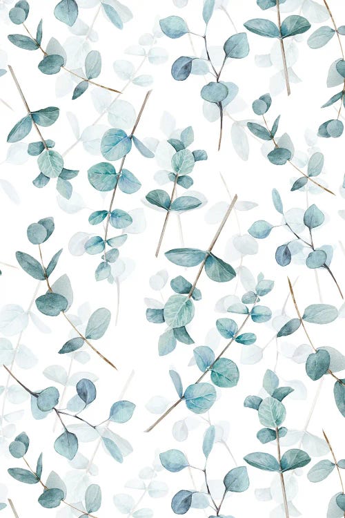 Eucalyptus Leaves And Branches