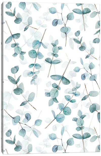 Eucalyptus Leaves And Branches Canvas Art Print - Floral & Botanical Patterns
