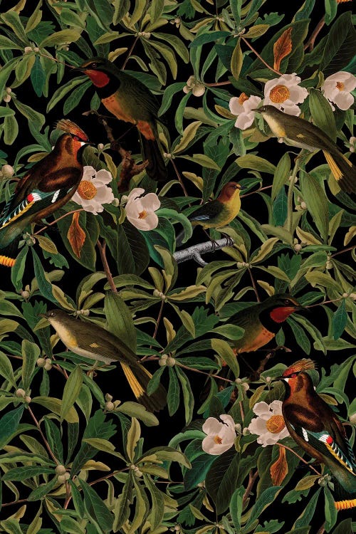 Mystical Midnight Bird And Flower Jungle by UtArt wall art