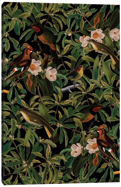 Mystical Midnight Bird And Flower Jungle Canvas Art Print - UtArt