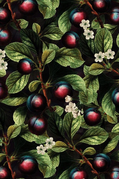 Harvest - Vintage Plums by UtArt multi panel art