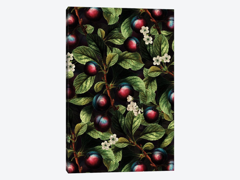 Harvest - Vintage Plums by UtArt 1-piece Canvas Wall Art