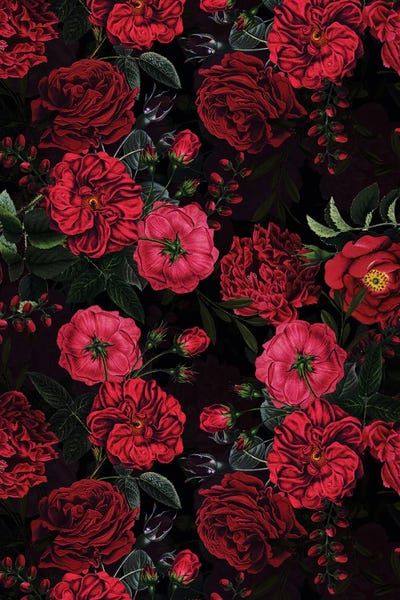 Lush Midnight Baroque Rose Garden by UtArt multi panel art