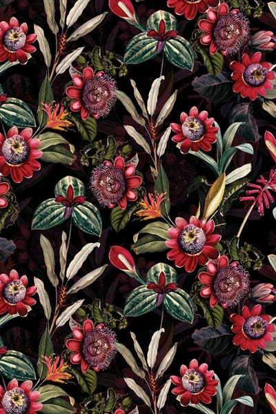 UtArt: Midnight Passionflower Tropical Flower Garden by UtArt